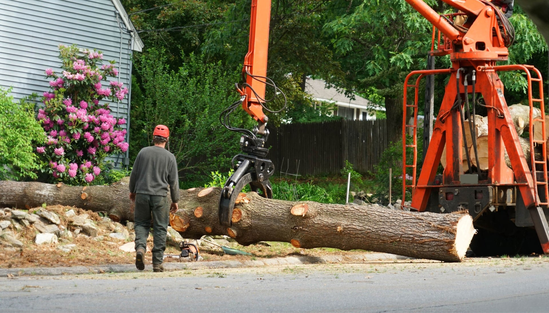 Local partner for Tree removal services in Oklahoma City