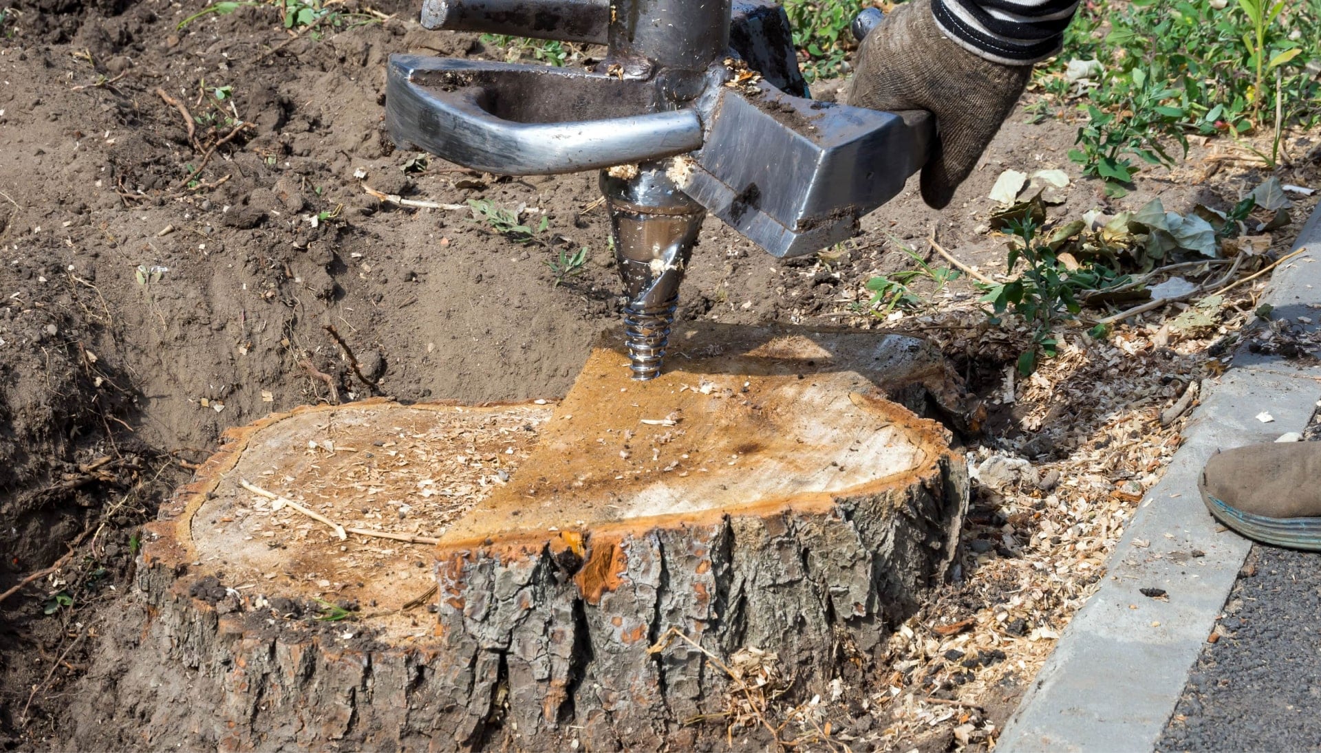 Oklahoma City Tree stump removal